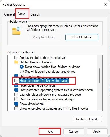Öffnen Sie die Dateierweiterungen für Windows 11 über die Dateiexplorer-Optionen