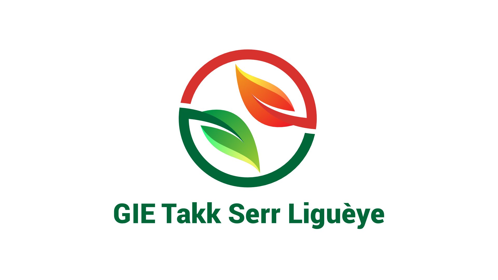 GIE Takk Serr Ligueye - Sabma Digital