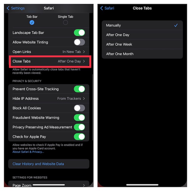 Führen Sie die Safari-Funktionen manuell auf dem iPhone und iPad aus